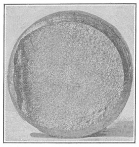 Fig. 16