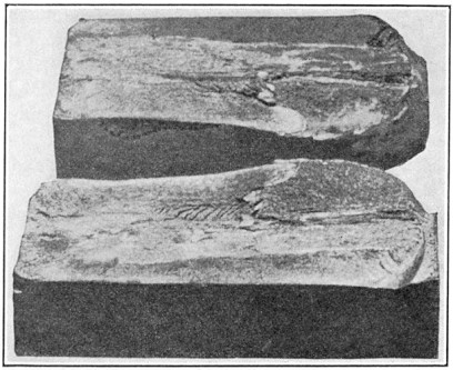 Fig. 18