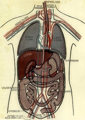 OUTLINE DIAGRAM SHOWING GENERAL PLAN AND POSITION OF BODY-MACHINERY