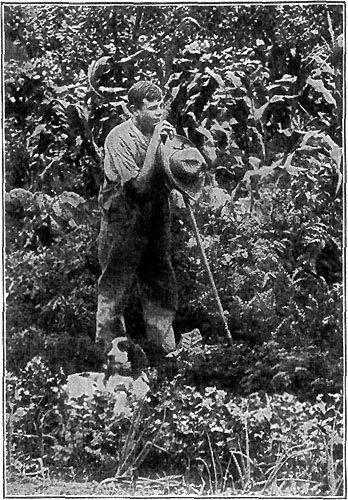 THE JOY OF HIS OWN GARDEN PATCH