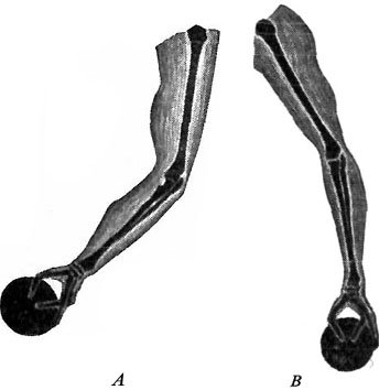 USE OF MUSCLES IN BOWLING