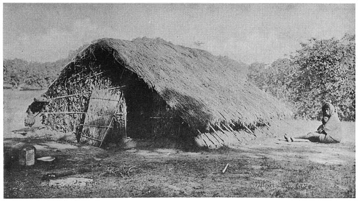 Peasant’s hut