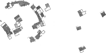 plan of Nutria