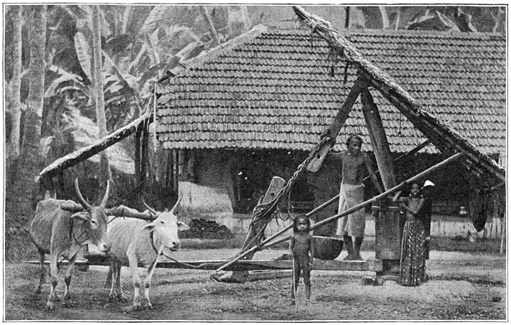 Molen voor de bereiding van kokosolie.