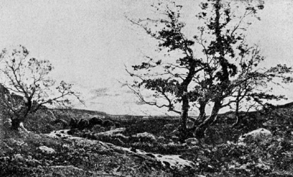 A stream edged with rocks and boulders runs between two trees. The larger, on the right, has what appears to be the first sign of leaves growing. The surrounding landscape is mostly flat, a huge expanse of sky overhead has the slightest hint of cloud in the distance.