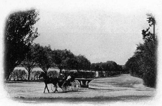 A Park Drive, Lake Calhoun