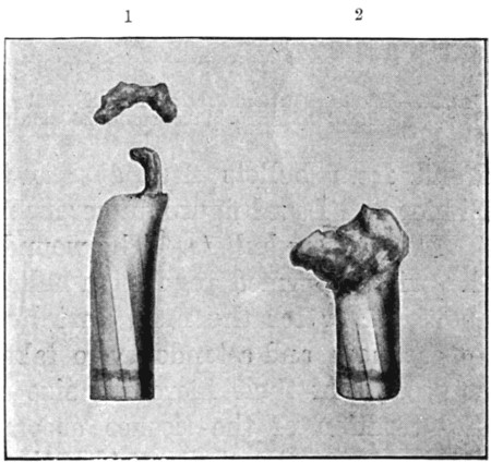 Fig. 38.