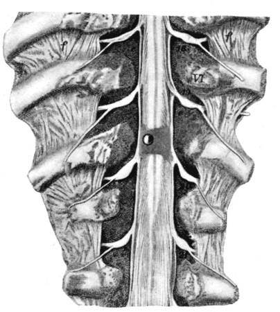 Fig. 80.