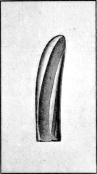 Fig. 82.