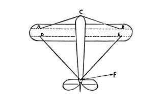 The dotted lines on the surface represent the spars within it.