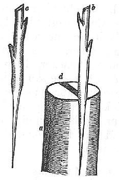 Fig. 42.