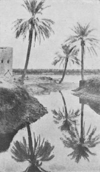 Scenes On The Creeks Below Basrah