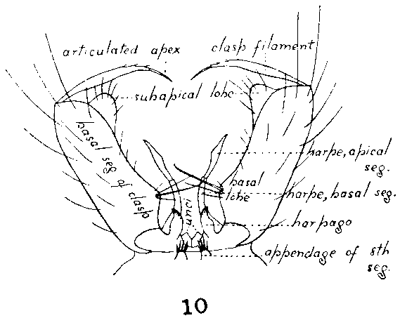 Image13