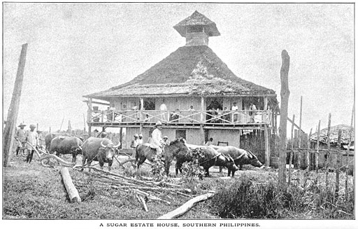 A Sugar-estate House, Southern Philippines