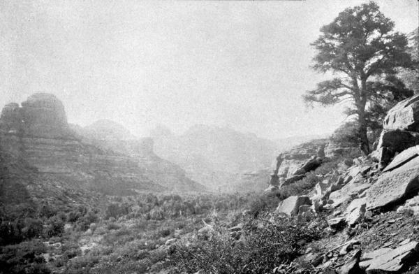 PL. XCVIII— THE RED ROCKS; TEMPLE CANYON