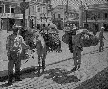 Vendedores de Sombreros, Puerto Rico