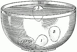 Testing eggs by floating: (1) slightly stale, (2) stale, (3) very stale