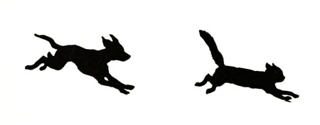 Dog chasing cat