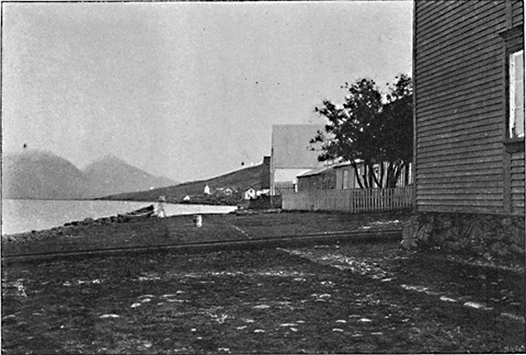 AKUREYRI (SHOWING LARGEST TREES IN ICELAND).