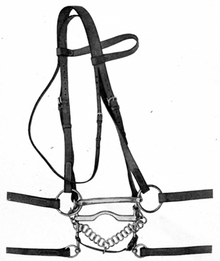 Double bridle.