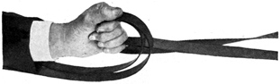 Reins held in left fist