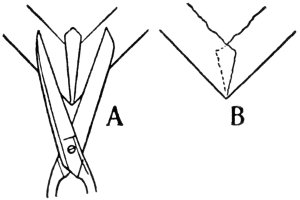 Fig. 65.