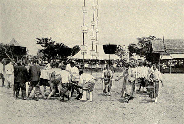 rice planting ceremony