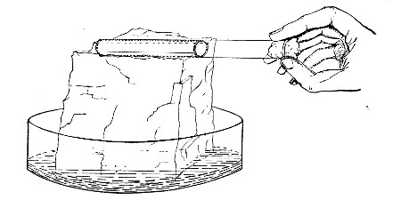 Fig. 120. Esmarch's roll culture on block of ice.