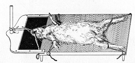 Fig. 179.—Tatin's operation table.