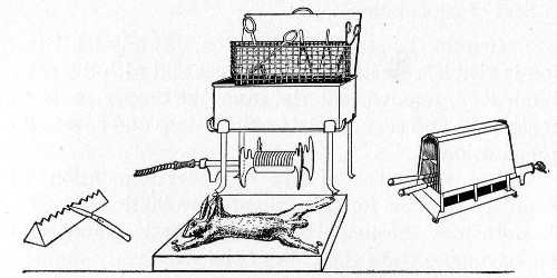 Fig. 197.—Apparatus for post-mortem examination, animal on board.