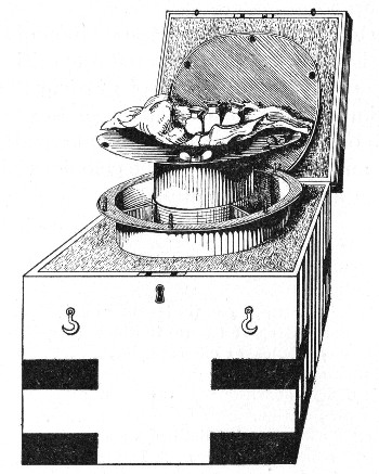 Fig. 205.—Ice-box for transmission of water samples, etc.