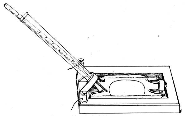 Fig. 53.—Lorrain Smith's warm stage.