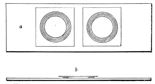 Fig. 62.—Hanging-drop slides: a, Double cell seen from above; b, single cell seen from the side.