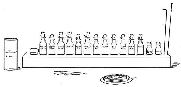 Fig. 65.—Staining rack, rubber change mat and lysol pot.