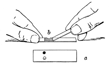 Fig. 69.—Spreading negative film.