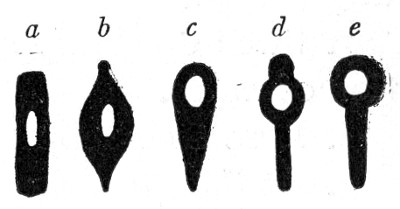 Fig. 91—Types of spore-bearing bacilli.