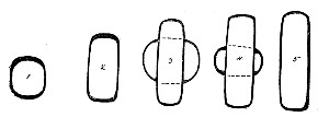 Fig. 95. Bipolar.