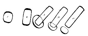 Fig. 96. Equatorial.