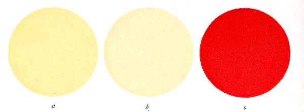 Fig. 98.