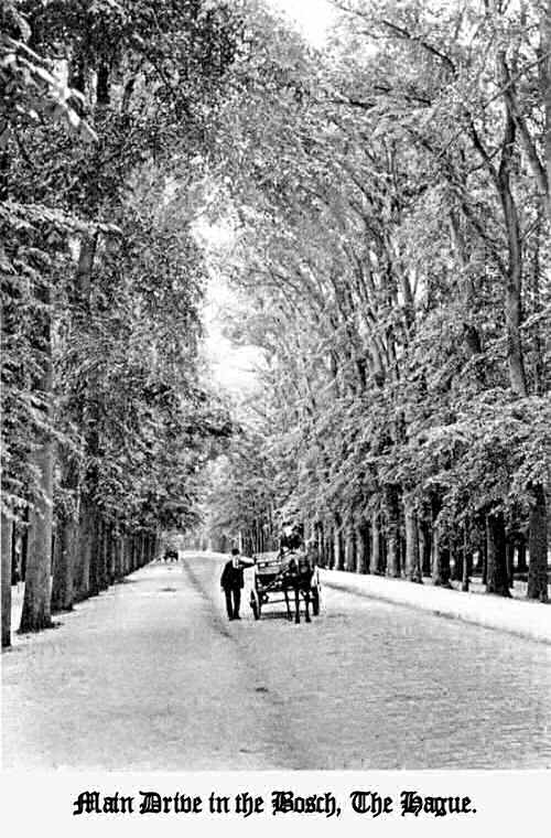 Main Drive in the Bosch, The Hague.