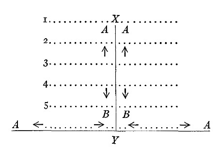 Fig. 4.—A = tendency to approach; B = tendency to withdraw; 1, 2, 3, 4, 5 = distance defining levels of accommodation; X = superordination; Y = subordination.