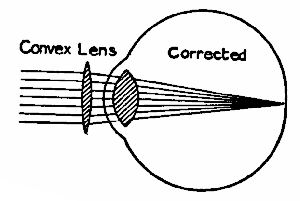 Fig. 118b.