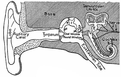 Fig. 134.