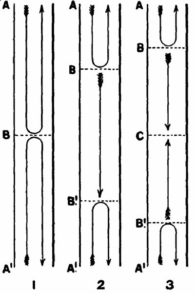 Fig. 137.