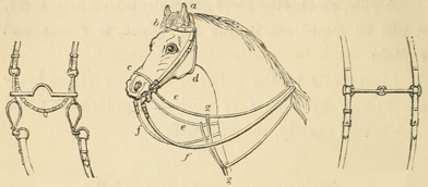 Curb bit. Diagram of parts of bridle. Snaffle bit.