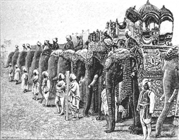 Patiala Elephants