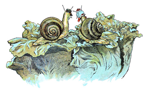 monsieur et madame Escargot vivaient sur un chou