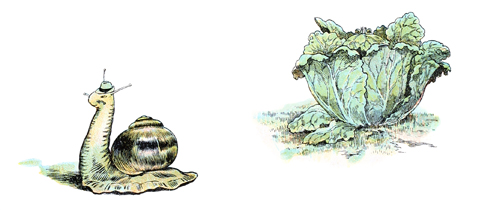 le petit escargot devint gros, gras et luisant