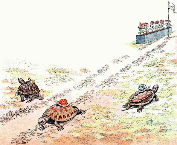 les tortues et leurs jockeys