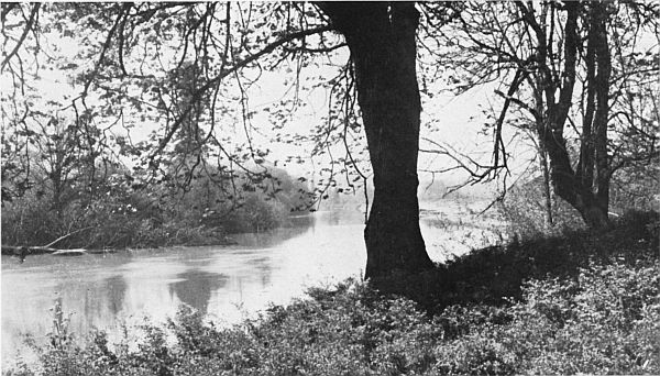 ON THE BANKS OF THE CHEHALIS, LEWIS COUNTY.